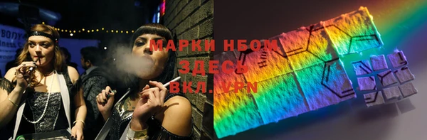 индика Каменка