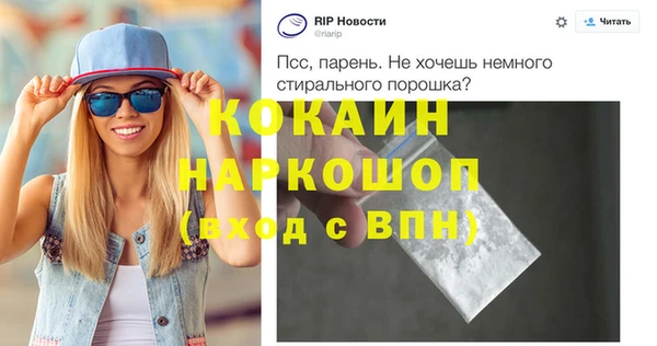 индика Каменка