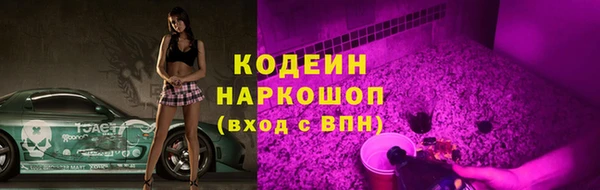индика Каменка