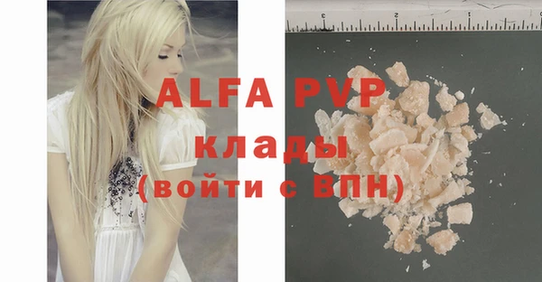 индика Каменка