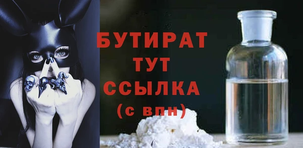 индика Каменка