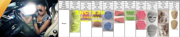 индика Каменка