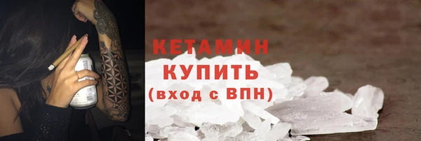 индика Каменка