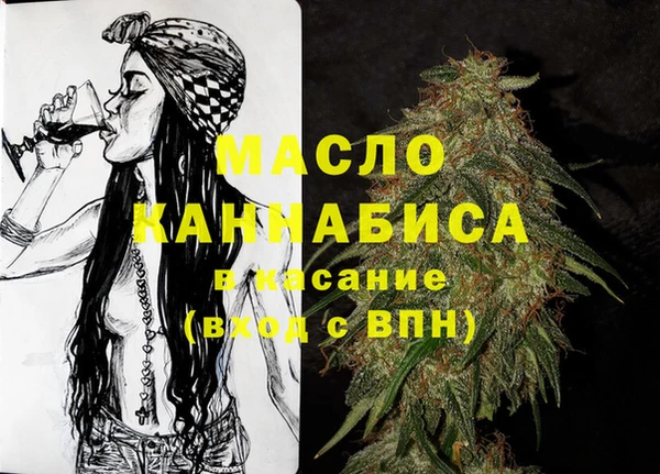 индика Каменка