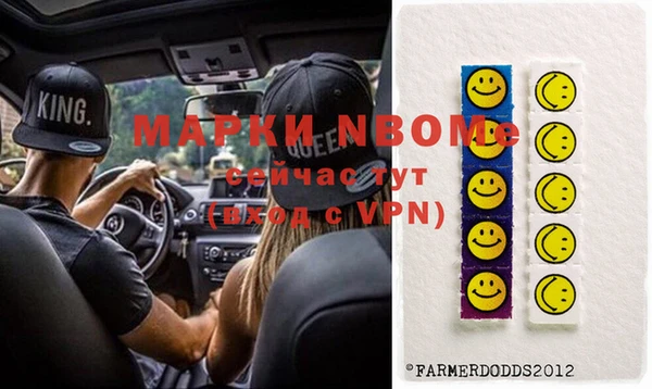 индика Каменка