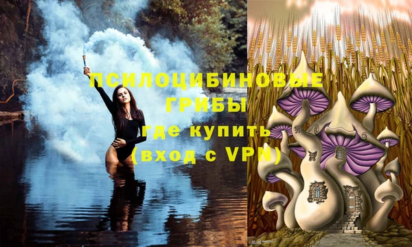 ECSTASY Каменногорск