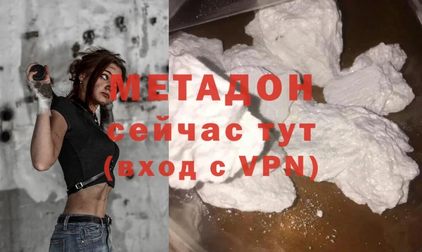 индика Каменка