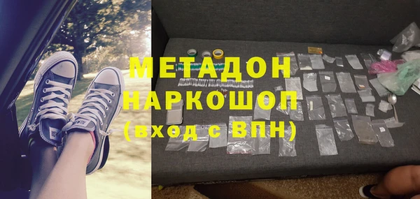индика Каменка