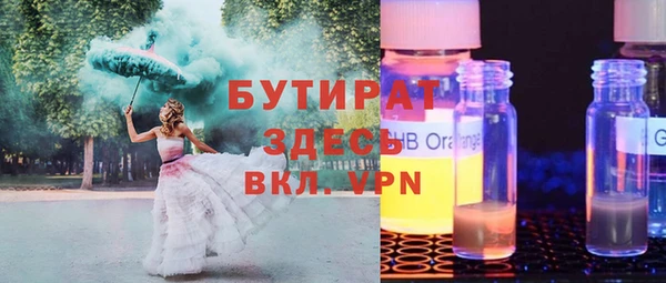 индика Каменка