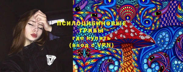 индика Каменка