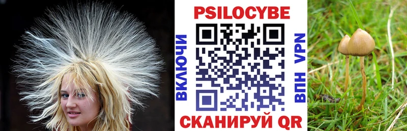 Купить  Дорогобуж  Галлюциногенные грибы ЛСД 